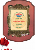 Kỷ Niệm Chương Gỗ Đồng KNC13