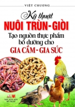 Kỹ Thuật Nuôi Trùn – Giòi Tạo Nguồn Thực Phẩm Bổ Dưỡng Cho Gia Súc Gia Cầm