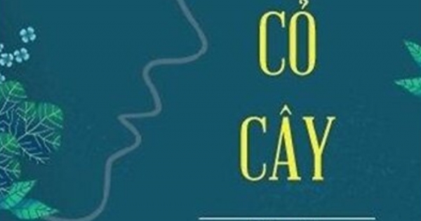 Lời Cỏ Cây – Bàn Về Thân Phận Con Người Trong Cuộc Đời