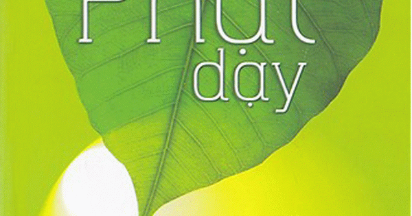 Lời Phật Dạy