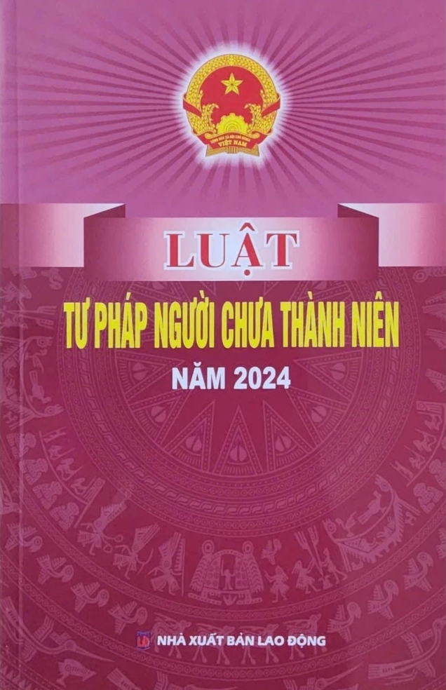 Luật Tư Pháp Người Chưa Thành Niên Năm 2024 (DH)