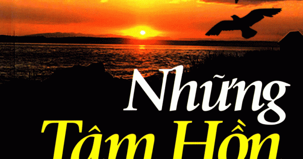 Hạt Giống Tâm Hồn – Những Tâm Hồn Lạc