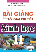Bài Giảng Và Lời Giải Chi Tiết Sinh Học 11