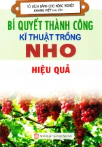 Bí Quyết Thành Công Kĩ Thuật Trồng Nho Hiệu Quả