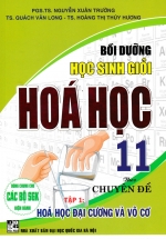 Bồi Dưỡng Học Sinh Giỏi Hóa Học 11 Theo Chuyên Đề – Tập 1: Hóa Học Đại Cương Và Vô Cơ