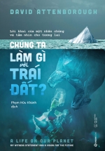 Chúng Ta Làm Gì Với Trái Đất?