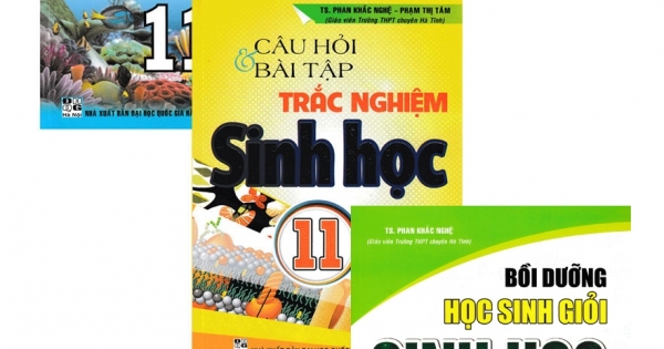 Combo Sách Hay Của Phan Khắc Nghệ: Bồi Dưỡng Học Sinh Giỏi Sinh Học 11 + Bài Giảng Và Lời Giải Chi Tiết Sinh Học 11 + Câu Hỏi Và Bài Tập Trắc Nghiệm Sinh Học 11 (Bộ 3 Cuốn)