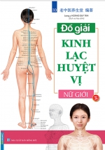 Đồ Giải Kinh Lạc Huyệt Vị – Nữ Giới