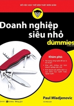 Doanh Nghiệp Siêu Nhỏ For Dummies