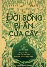 Đời Sống Bí Ẩn Của Cây