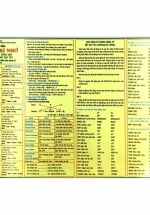 Giúp Trí Nhớ Ngữ Pháp Tiếng Anh Và Động Từ Bất Quy Tắc