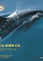 Gõ Cửa Thiên Nhiên – Bài Ca Biển Cả – Học Đếm – The Song From The Sea