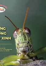 Gõ Cửa Thiên Nhiên – Những Gương Mặt Xinh – Cảm Xúc – Faces