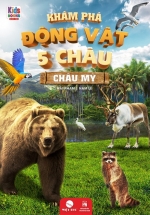 Khám Phá Động Vật 5 Châu – Châu Mỹ