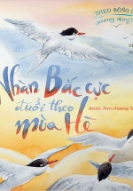 Theo Sóng Biển Khơi – Nhàn Bắc Cực Đuổi Theo Mùa Hè