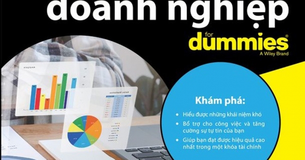 Tài Chính Doanh Nghiệp For Dummies