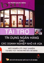 Tài Trợ Tín Dụng Ngân Hàng Cho Các Doanh Nghiệp Nhỏ Và Vừa