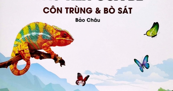 Thư Viện Hình Ảnh Song Ngữ Đầu Tiên Của Bé – Côn Trùng Và Bò Sát