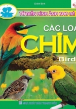 Từ Điển Hình Ảnh Cho Bé – Các Loài Chim