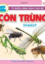 Từ Điển Hình Ảnh Cho Bé – Côn Trùng