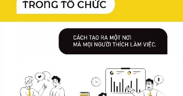 Văn Hóa Trong Tổ Chức – Cách Để Tạo Ra Một Nơi Mà Mọi Người Thích Làm Việc
