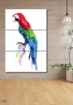Tranh Treo Tường Vẹt Scarlet Macaw (3 Tấm 40×60 Cm)