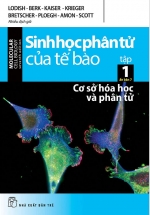 Sinh Học Phân Tử Của Tế Bào – Tập 1: Cơ Sở Hóa Học Và Phân Tử (Ấn Bản 7)