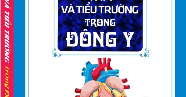 Tâm Và Tiểu Trường Trong Đông Y