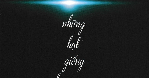 Thấu Suốt – Những Hạt Giống Kim Cương