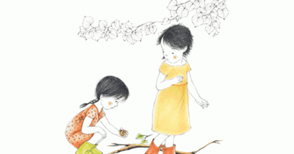 Thực Hành Montessori Hàng Ngày – Bộ Sưu Tập Từ Thiên Nhiên