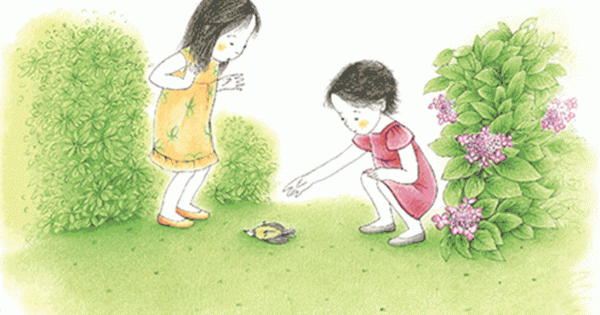 Thực Hành Montessori Hàng Ngày – Chú Chim Bị Thương
