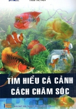 Tìm Hiểu Cá Cảnh – Cách Chăm Sóc