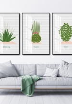 Tranh Canvas Treo Tường Xương Rồng