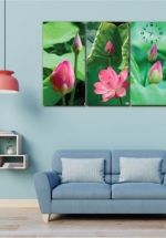 Tranh Đồng Hồ Hoa Sen Hồng 2 (3 Tấm 40x25x3cm)