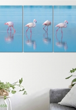 Tranh Treo Tường Con Hạc (3 Tấm 40×60 cm)