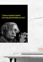 Tranh Treo Tường I Have No Special Talents Iam Only Passionately Curious