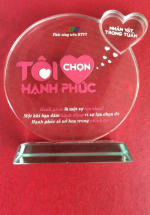 Kỷ Niệm Chương Thủy Tinh TT31