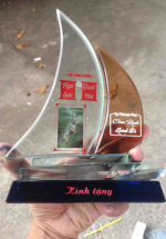 Kỷ Niệm Chương Thủy Tinh TT33