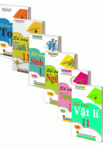 Combo Sổ Tay Lớp 11