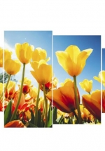 Tranh Đồng Hồ Vườn Hoa Tulip